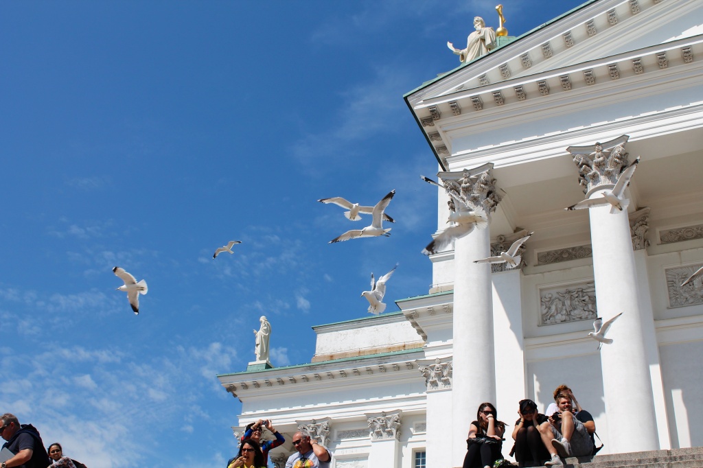 Helsinki seagulls- Lutheran Cathedral